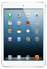 iPad mini Handyoption
